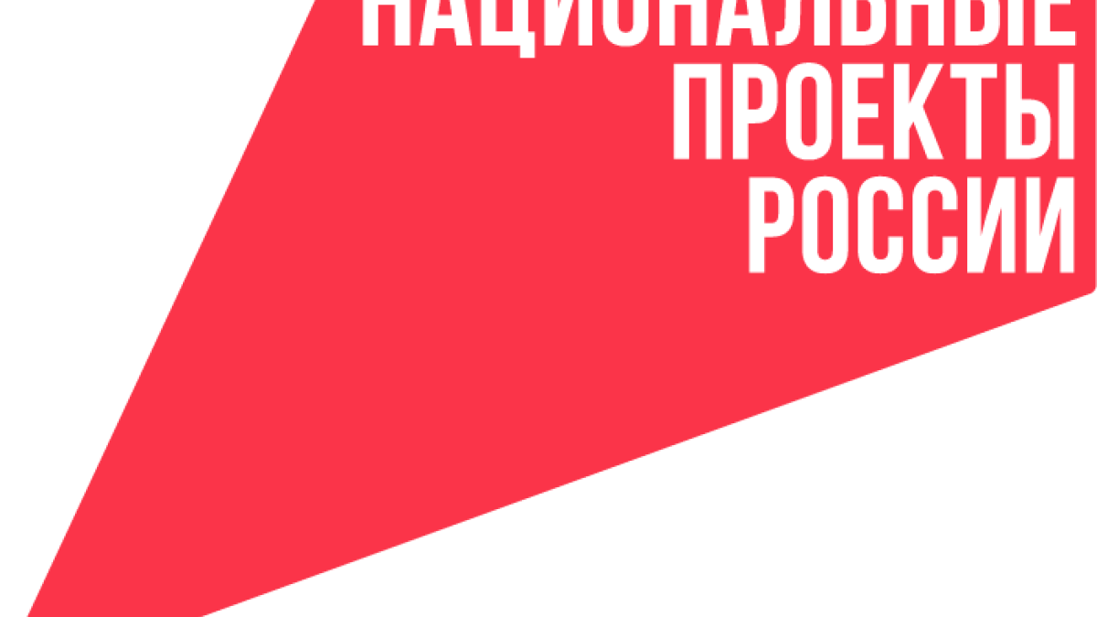 Национальные проекты России