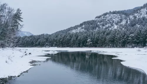 В местные бюджеты Республики Алтай поступило 82 млн рублей турналога