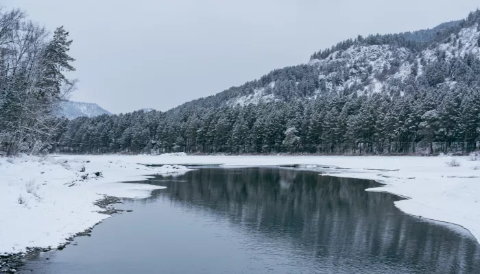 В местные бюджеты Республики Алтай поступило 82 млн рублей турналога