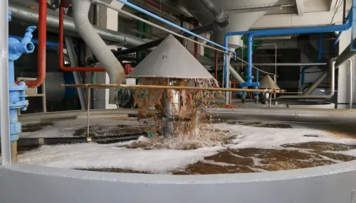 Пищат: в Алтайском крае на 8% упало производство пива