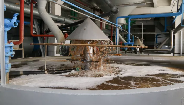 Пищат: в Алтайском крае на 8% упало производство пива