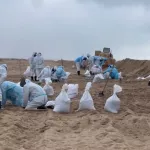 Алтайские студенты вернулись с волонтерской миссии на побережье Черного моря