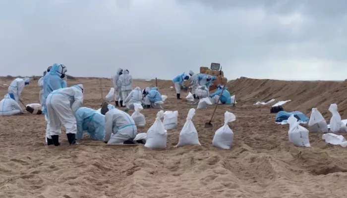 Алтайские студенты вернулись с волонтерской миссии на побережье Черного моря