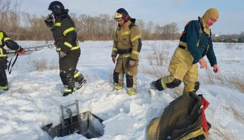 В Алейске ребенок упал в пятиметровый погреб с ледяной водой