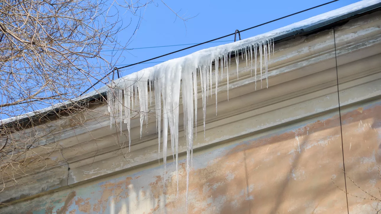 Оттепель до +6 градусов наступит в Алтайском крае перед резким похолоданием