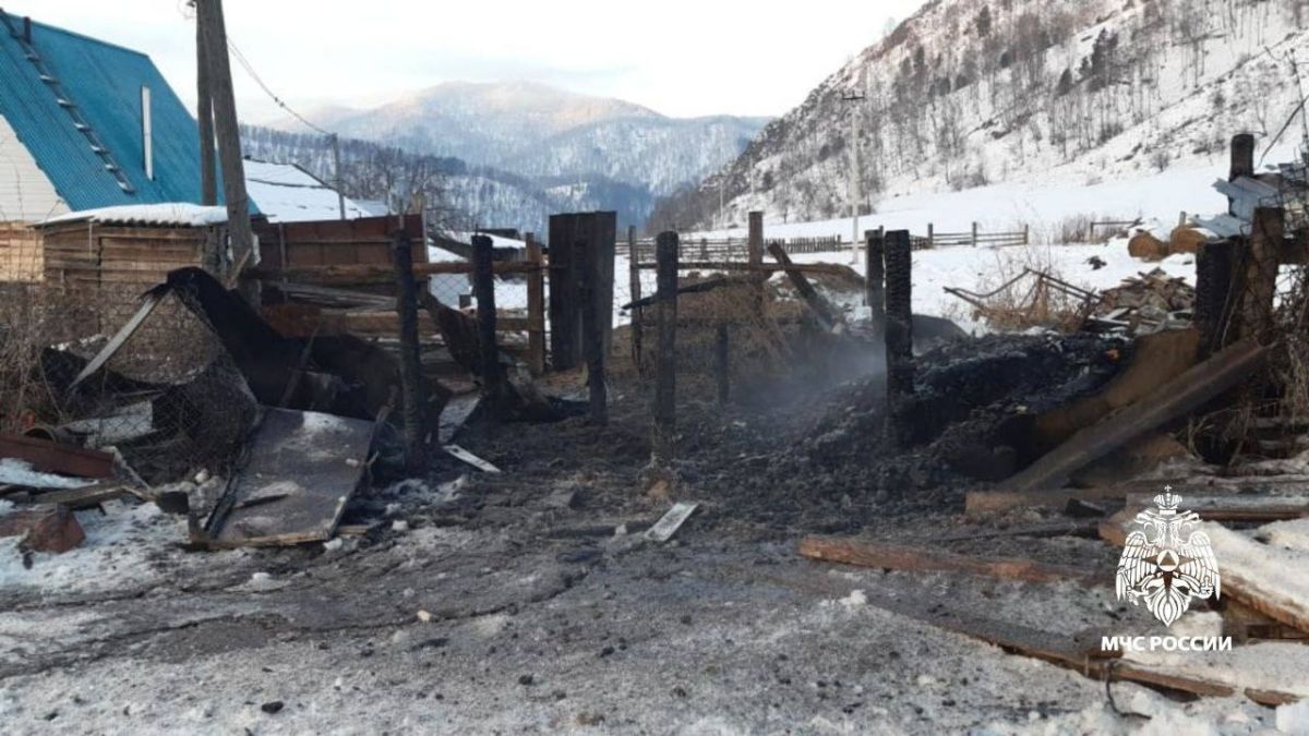 Пожар в курятнике в Республике Алтай