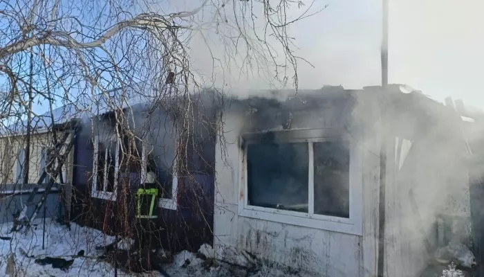 Житель Алтайского края погиб при пожаре в двухквартирном доме