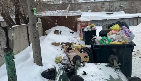 Просто стыдно: у поликлиники в самом центре Барнаула копятся кучи мусора. Фото