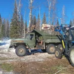 Полна поленница: жители Республики Алтай начали получать бесплатные дрова