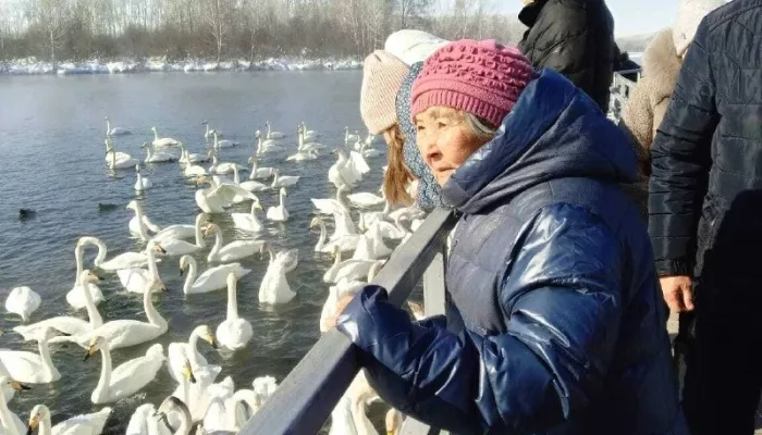 Жители алтайского дома-интерната полюбовались на птиц в заказнике Лебединый