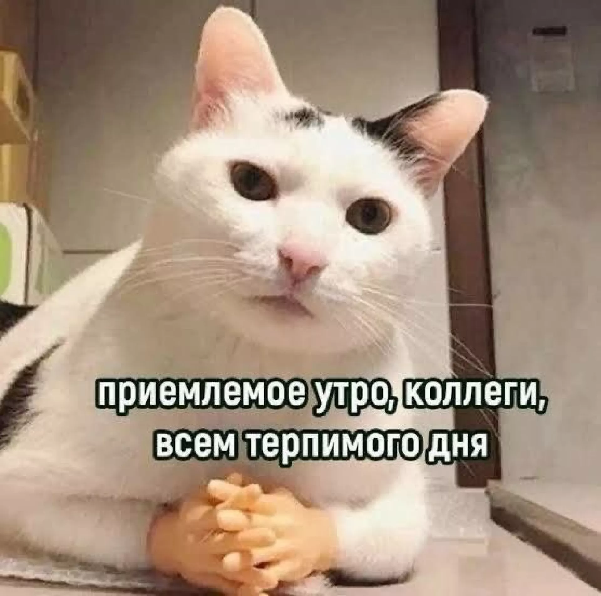 Анальное настроение на работе Анальное настроение на работе
