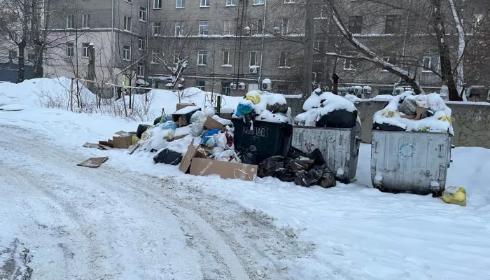 Две недели в свинарнике: в Барнауле не могут убрать мусор у детской поликлиники