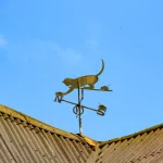 Котаны в городе: фотоподборка пушистых обитателей Барнаула