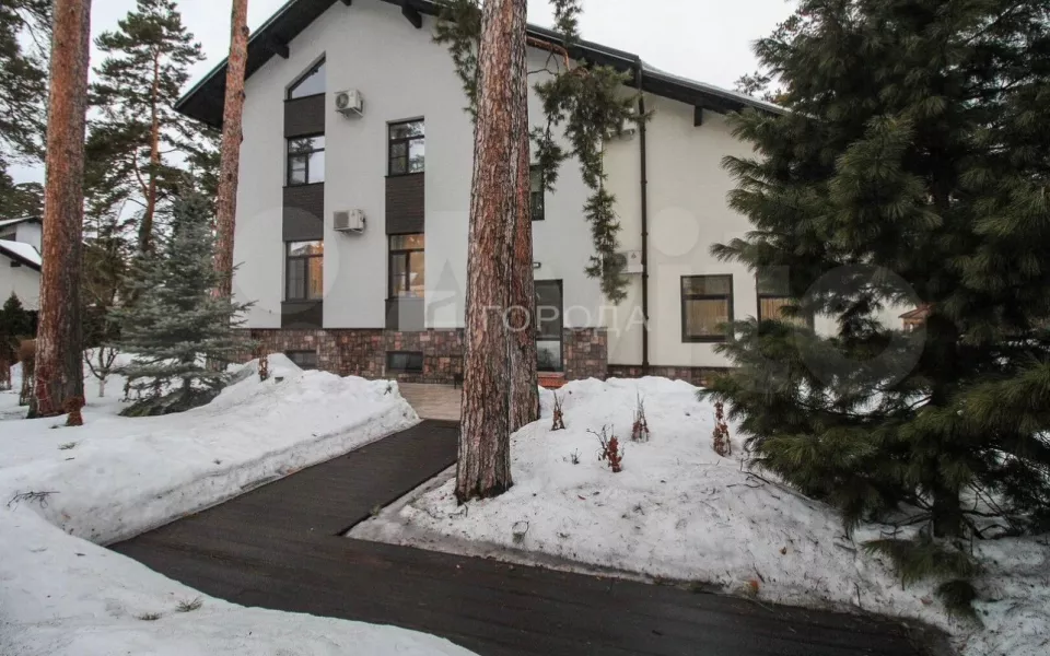 Богатство сосен, кедров и грибов: в Барнауле продают роскошный дом в окружении леса