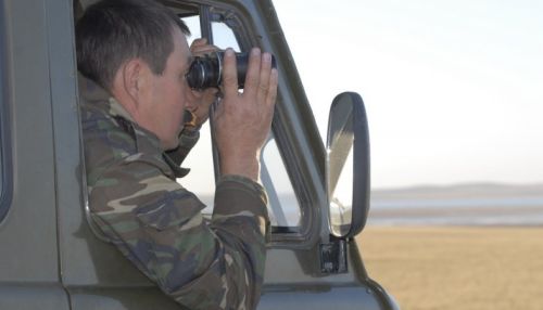 Какое вознаграждение платят жителям Алтайского края за сигнал о незаконной охоте