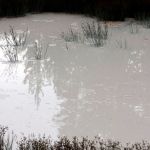 Молочные реки. Возбуждено уголовное дело о загрязнении Пивоварки в Барнауле