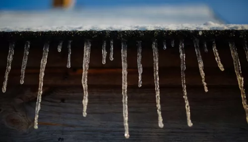 В Алтайский край идет тепло до +7 градусов, а потом – похолодание с ветром