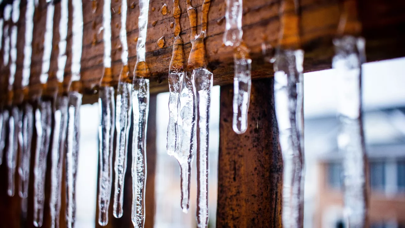 Потепление до +7 градусов со снегом и дождем надвигается на Алтайский край