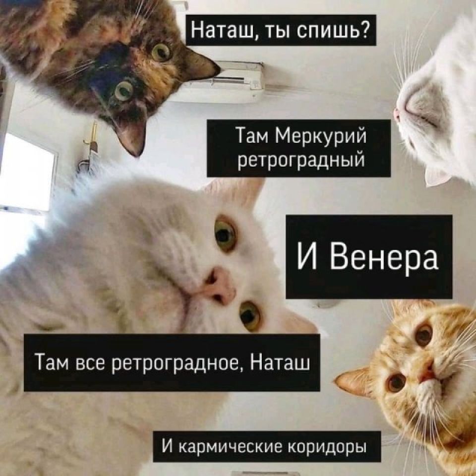 Ретроградный Меркурий