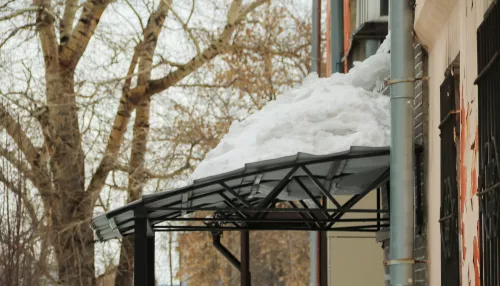 В Алтайском крае перед мощным потеплением до +13 градусов пройдет снег