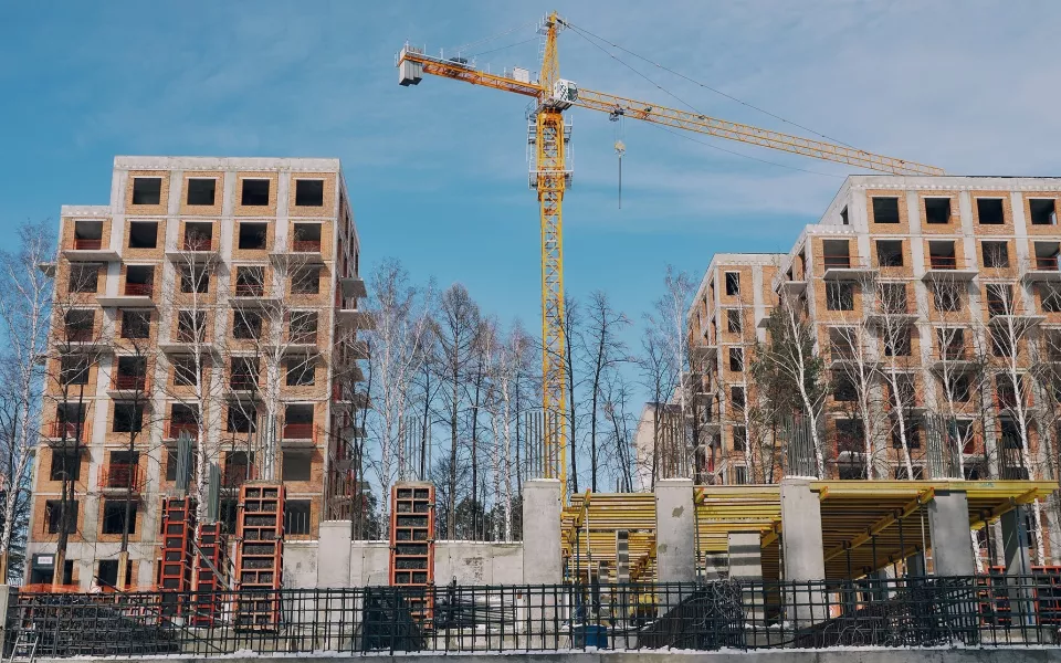 Реликтовый бор и редкая кедровая сосна: какие уникальные растения окружают зеленый квартал Вышка