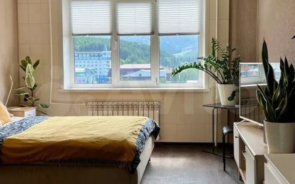 Квартиру в центре Белокурихи с умиротворяющим видом на гору продают за 9 млн рублей