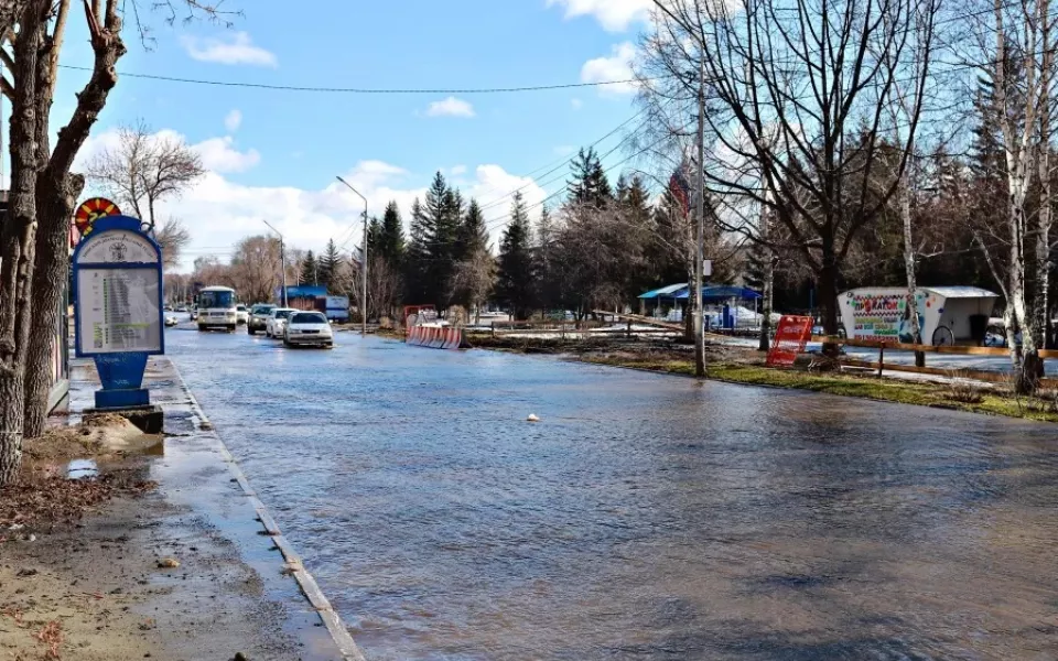 Фотограф показал масштабы коммунального потопа в Бийске
