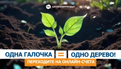 Алтайэнергосбыт: как получить счёт на оплату электроэнергии в день формирования