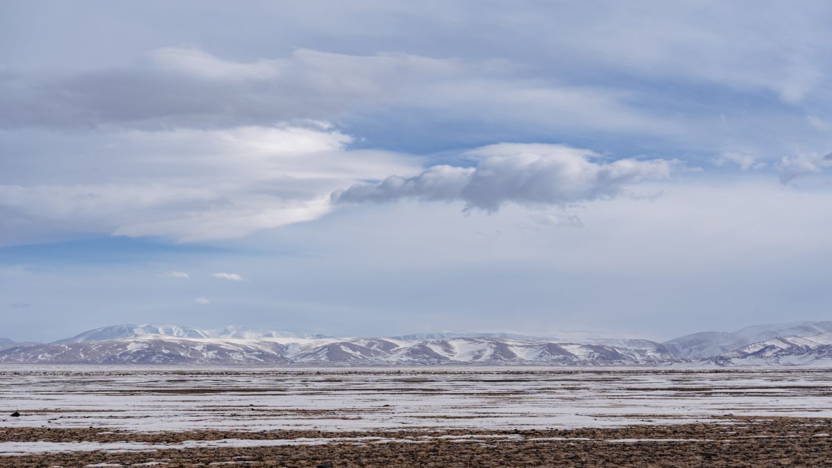 Кош-Агачский район