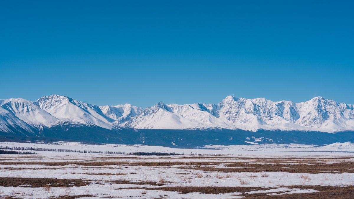 Кош-Агачский район