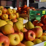 Жители Барнаула и пригорода потратили на ярмарках 3 млн рублей