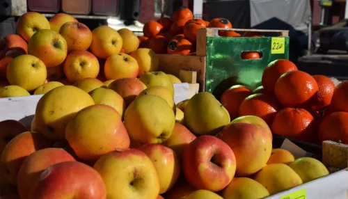 18 октября в Барнауле и пригороде пройдут большие продовольственные ярмарки: адреса