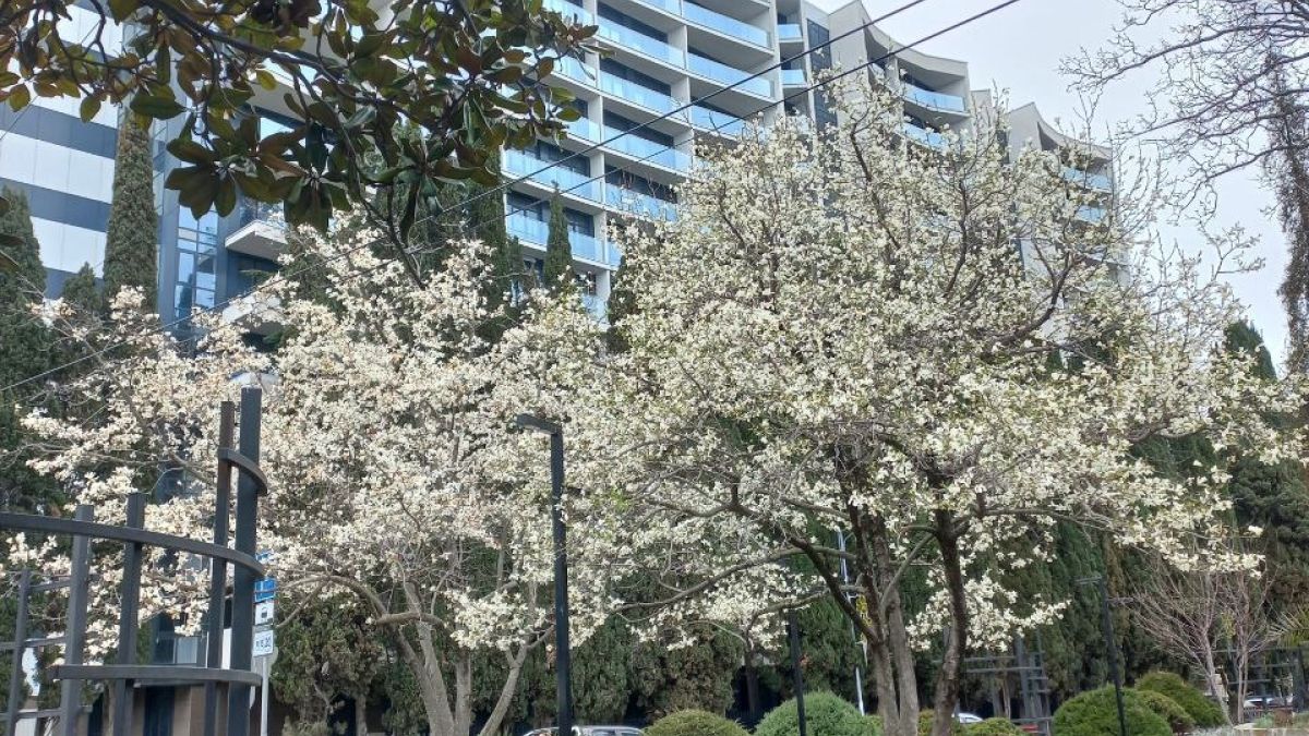 Сочи весной