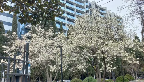 Рекордно дорогую квартиру у моря в Сочи продают за 730 млн рублей