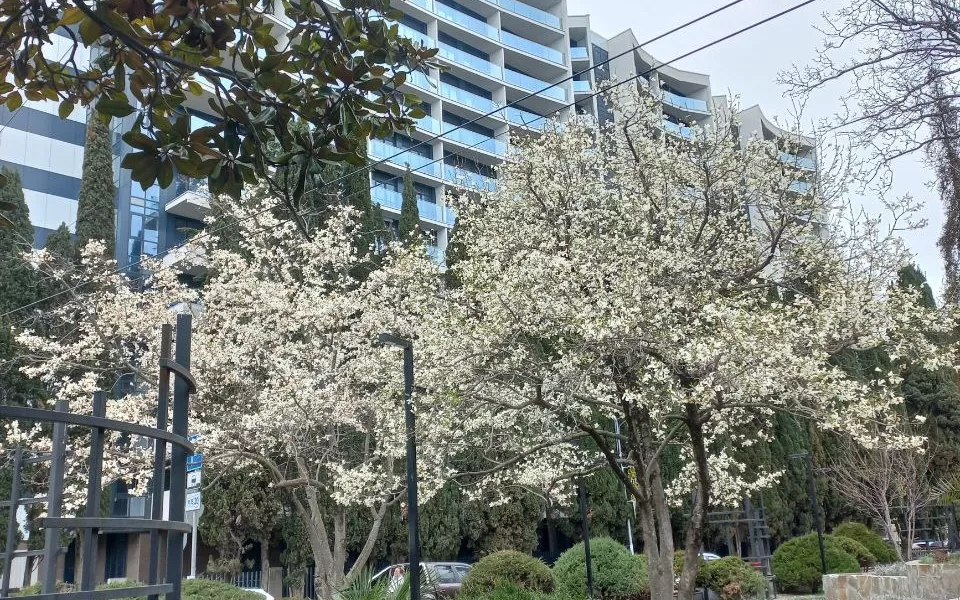 Рекордно дорогую квартиру у моря в Сочи продают за 730 млн рублей