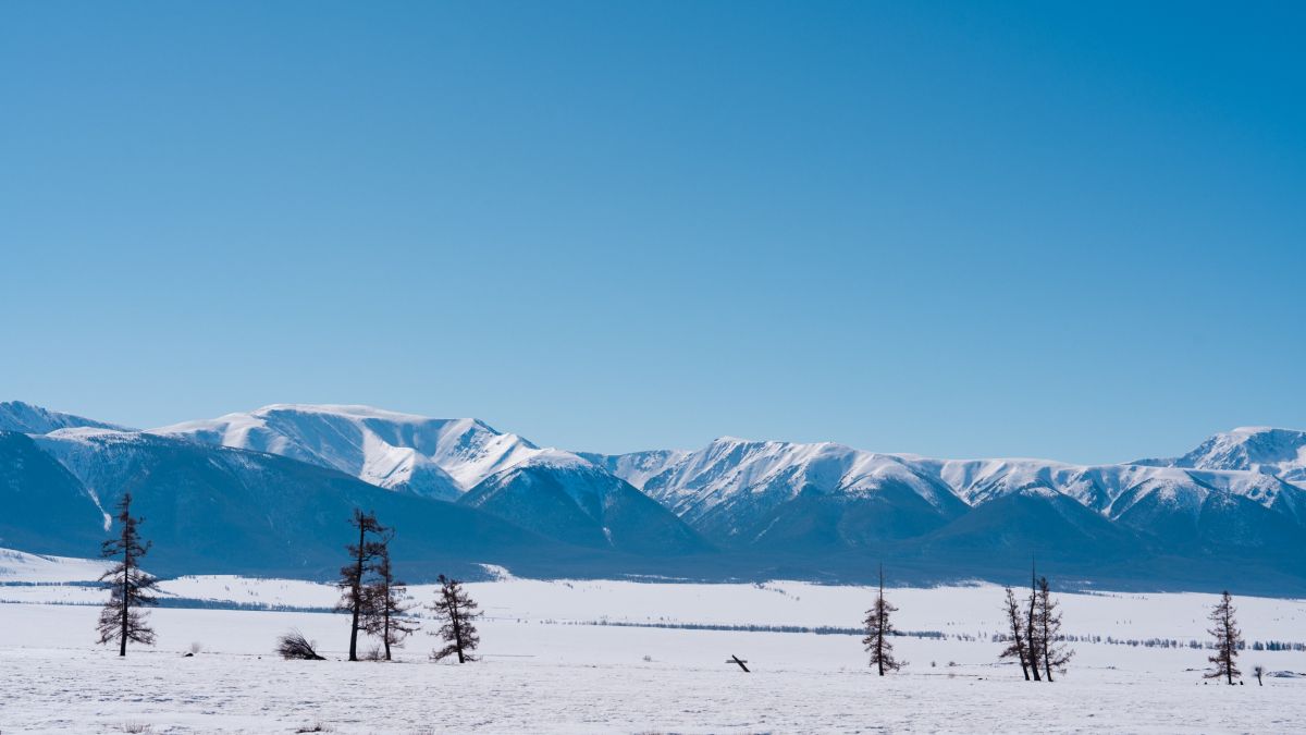 Кош-Агачский район. Республика Алтай