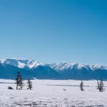 Землетрясение магнитудой 4,0 произошло в Кош-Агачском районе Республики Алтай