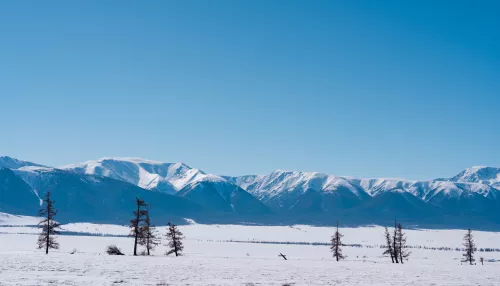 Землетрясение магнитудой 4,0 произошло в Кош-Агачском районе Республики Алтай