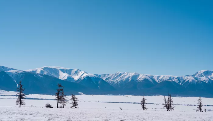 Землетрясение магнитудой 4,0 произошло в Кош-Агачском районе Республики Алтай