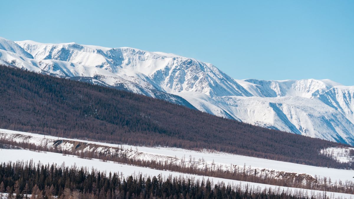 Кош-Агачский район. Республика Алтай