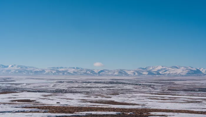 Землетрясение магнитудой 4 произошло в Кош-Агачском районе Республики Алтай