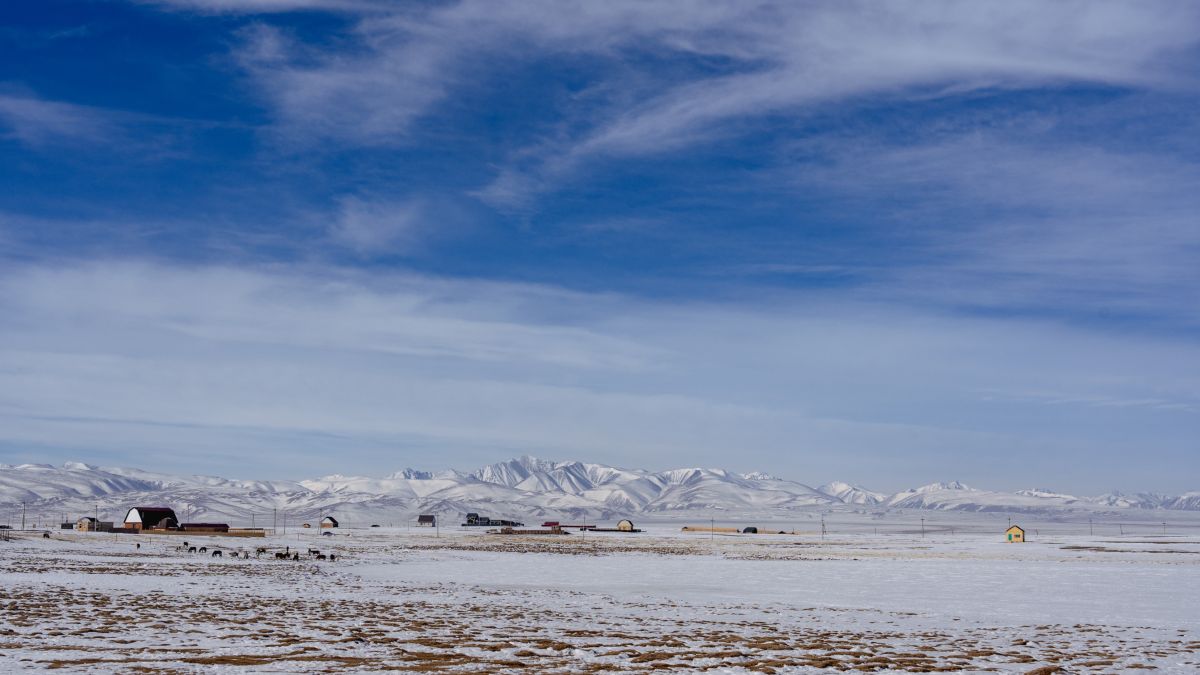 Кош-Агачский район. Республика Алтай