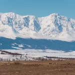 Землетрясение магнитудой 3,9 произошло в Кош-Агачском районе Республики Алтай