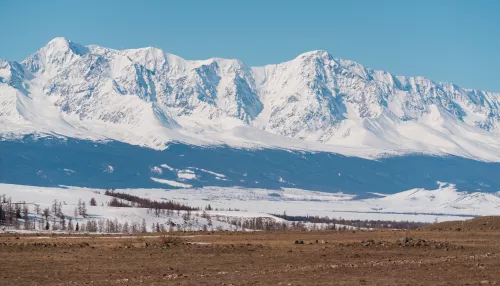 Землетрясение магнитудой 3,9 произошло в Кош-Агачском районе Республики Алтай