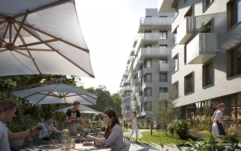 Команда единомышленников: Мой Дом ищет партнеров для бизнес-пространства Вышки