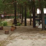 В Алтайском крае 1 апреля упал сайт для бронирования путевок в детские лагеря