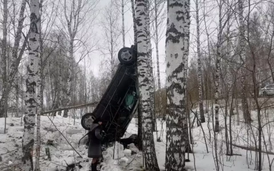 Легковушка вертикально воткнулась между берез после ДТП в Алтайском крае