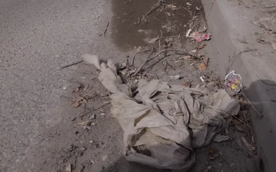 Барнаульцы пожаловались на грязь, которая с потеплением разносится по всему городу