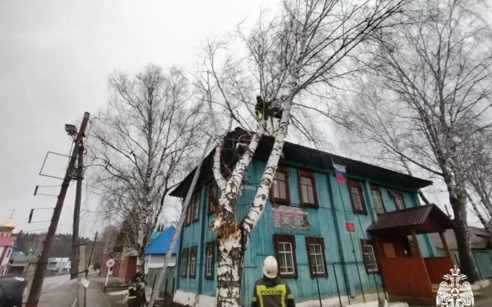 В Республике Алтай сильный ветер обесточил полсотни сел и повалил деревья