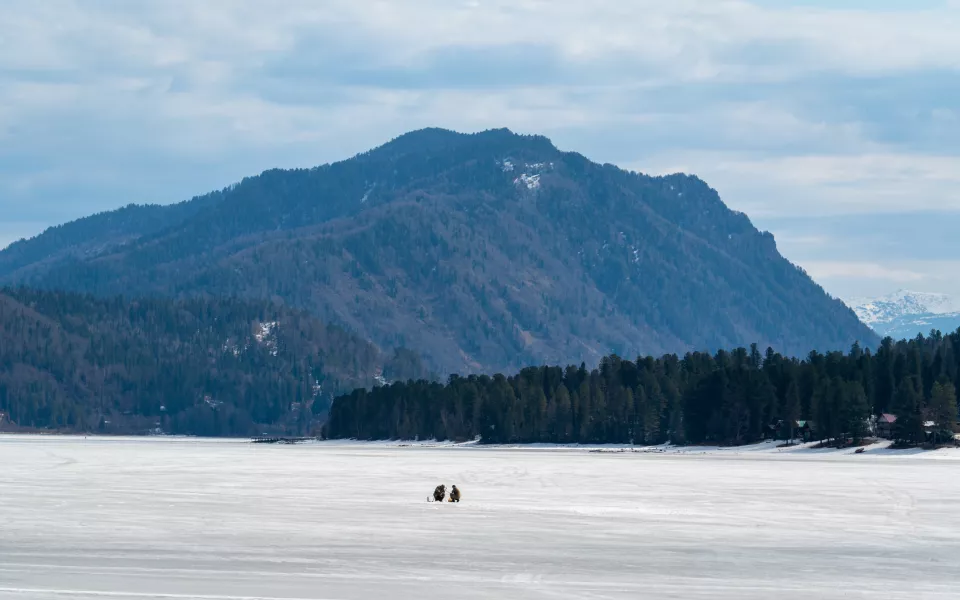 Суд вернул государству 1,24 га земель у Телецкого озера